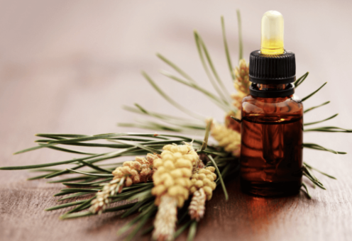 Tea tree cheval